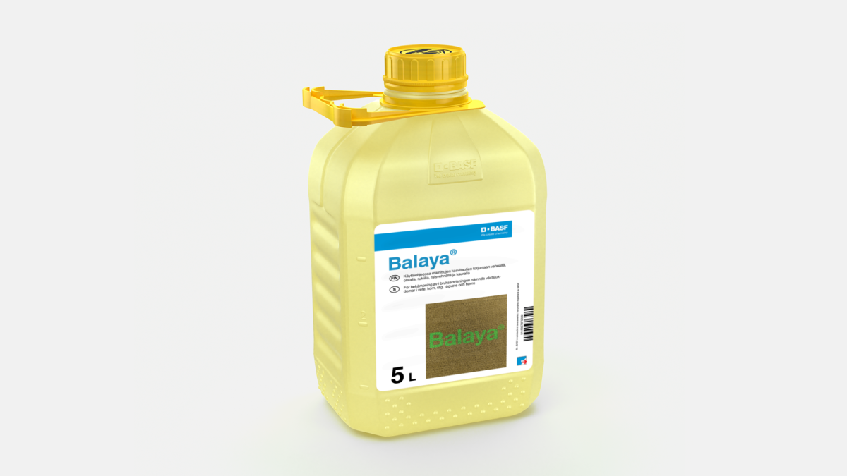 Balaya - 58260017