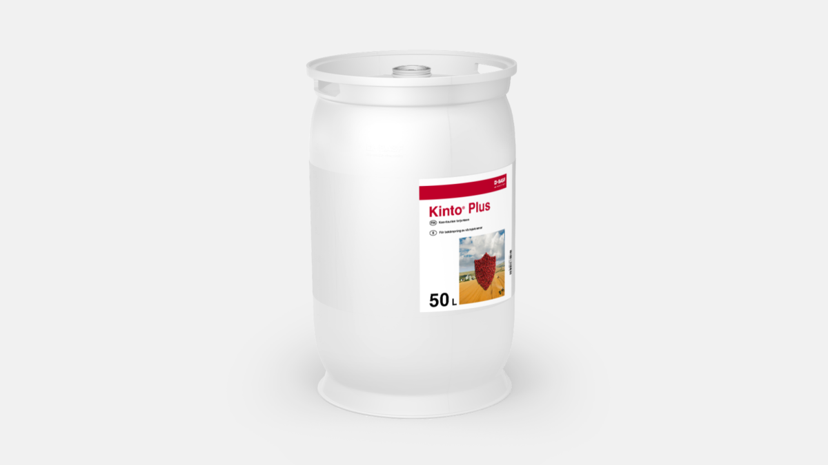 Kinto Plus - 58159182