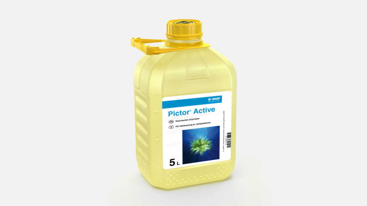 Pictor Active - 58082640