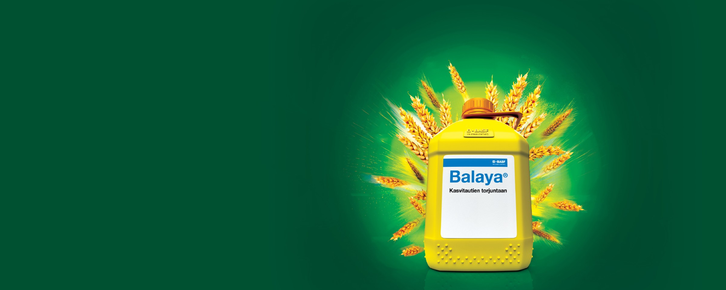 Balaya<sup>&reg;</sup>