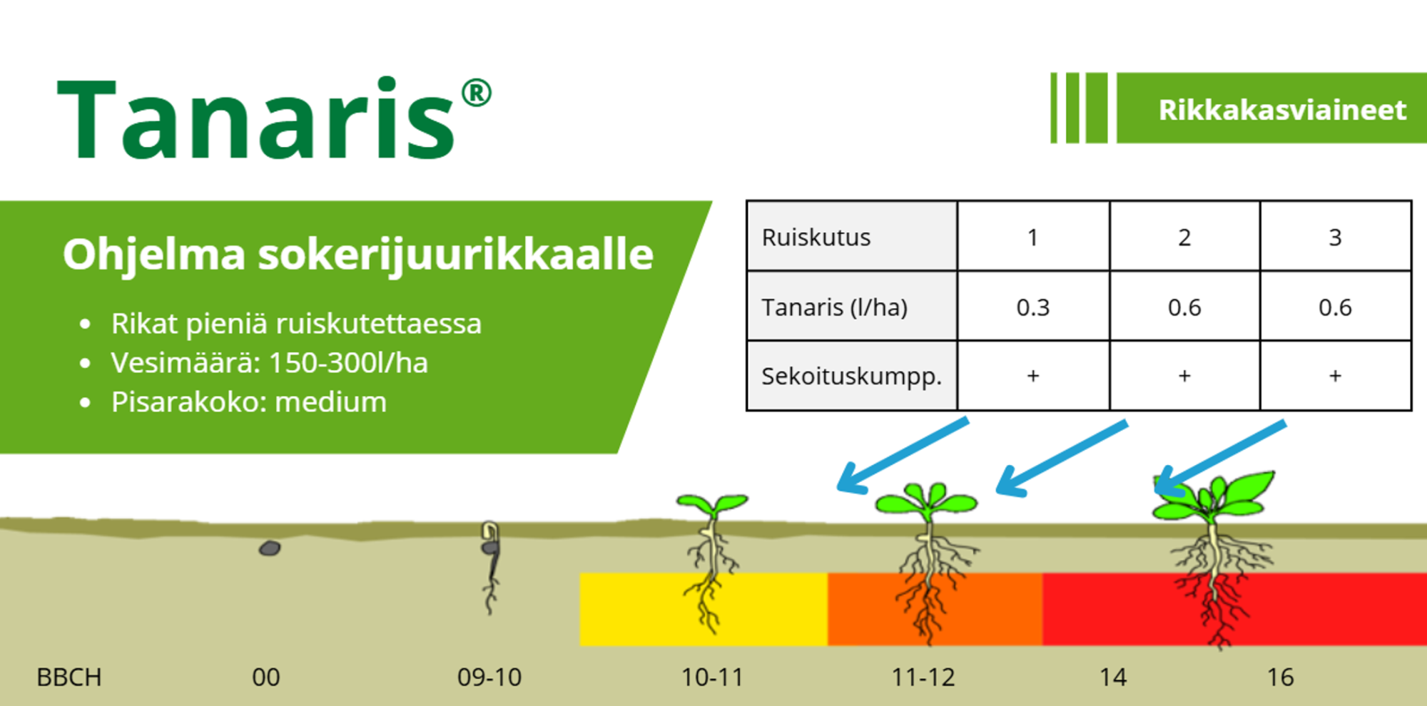 Tanaris
