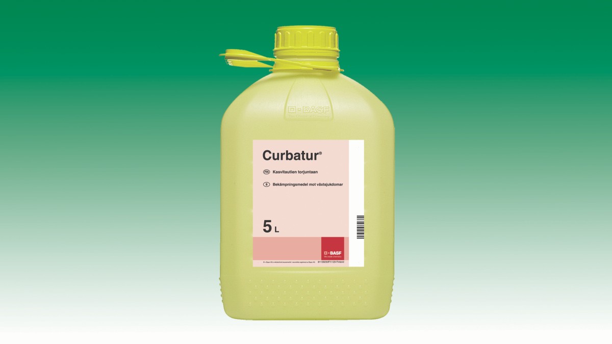 Curbatur