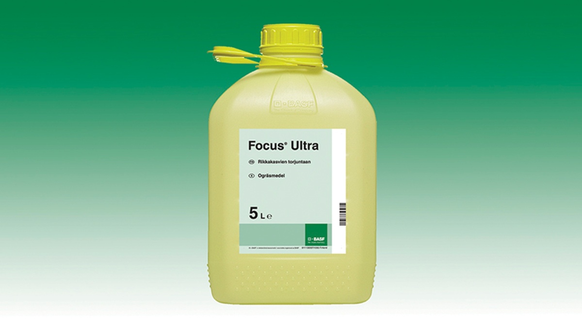 Focus Ultra