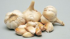 Valkosipuli